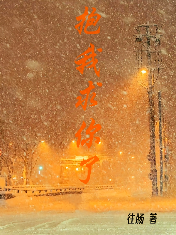 抱我求你了