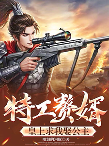 特工赘婿我在古代手搓巴雷特