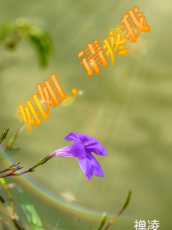 姐姐，请疼我