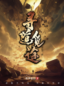 寻道觅途