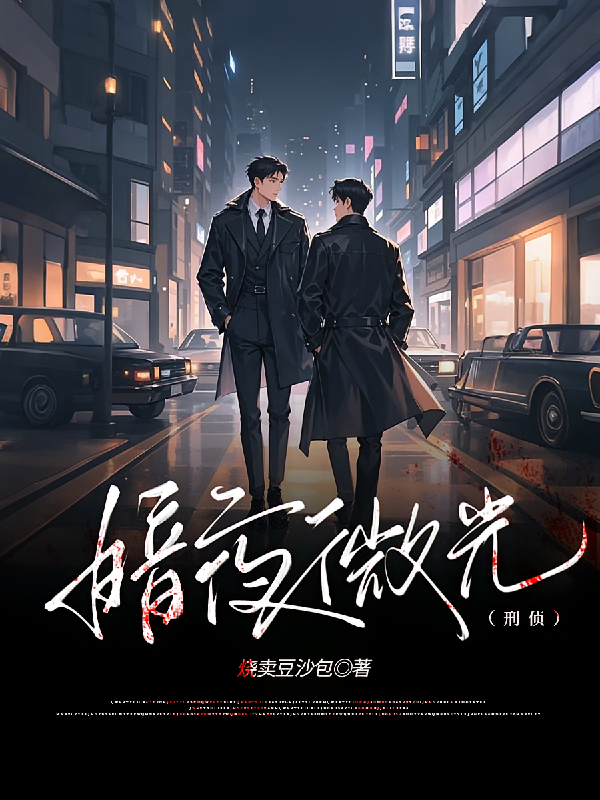 暗夜微光【刑侦】