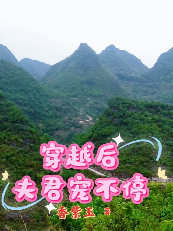 穿越后,夫君宠不停