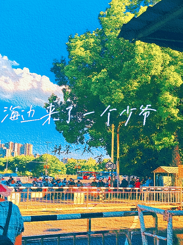 海边来了一个少爷