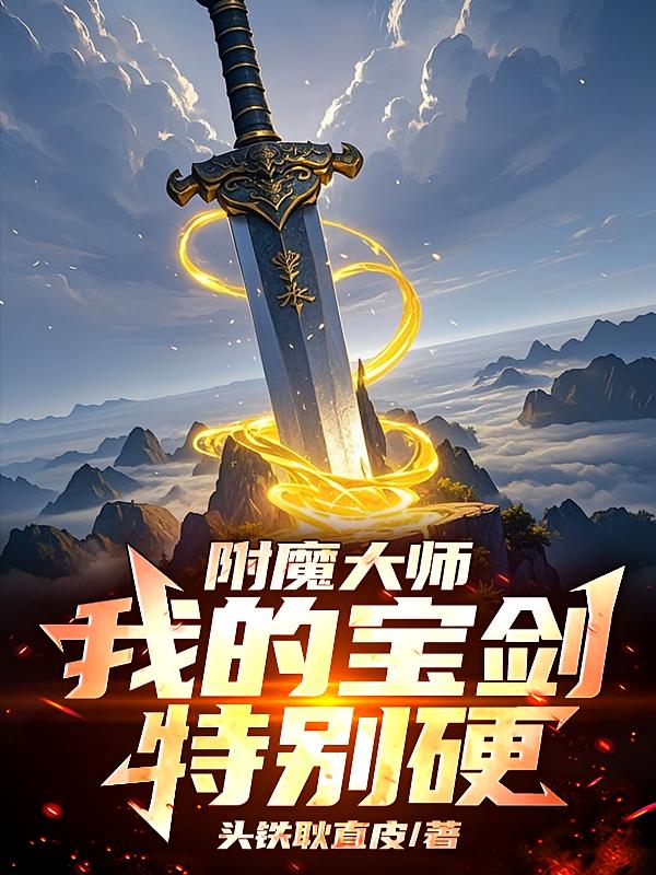 附魔大师,我的宝剑特别硬