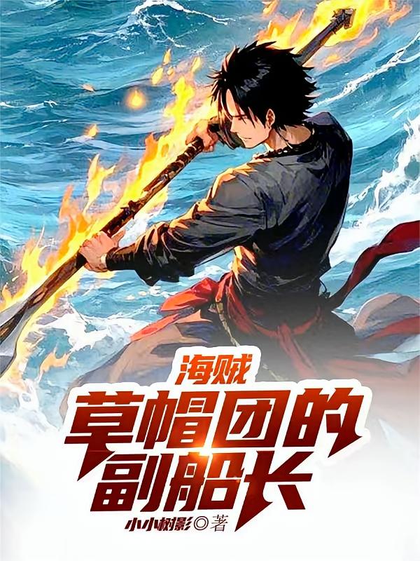 海贼：草帽团的副船长