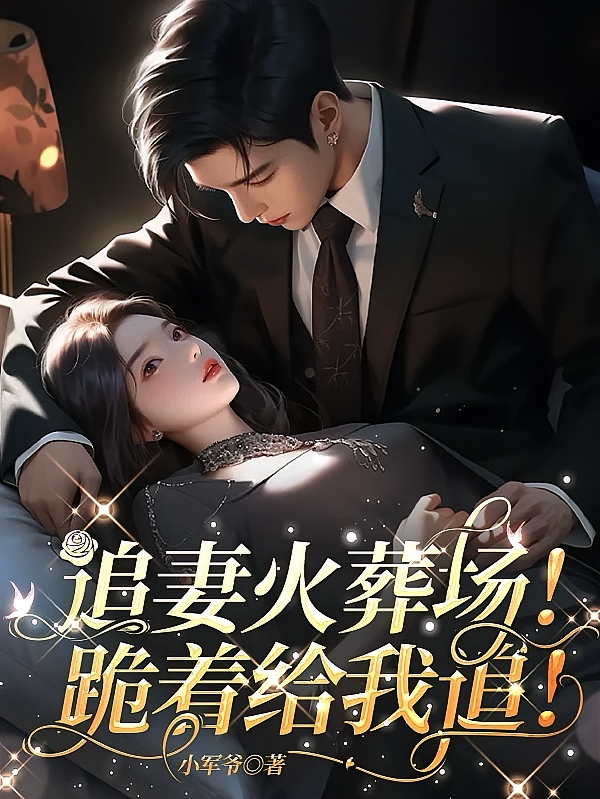 追妻火葬场！跪着给我追！