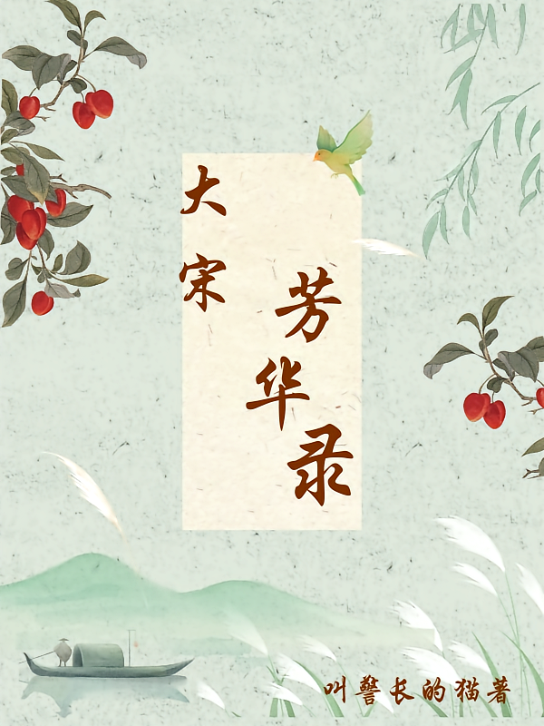 大宋芳华录