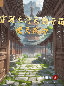 穿到王府天崩开局,逆天改命