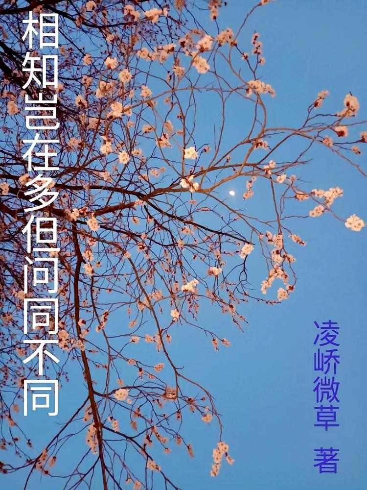 相知岂在多但问同不同
