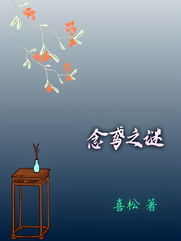 念鸢之谜
