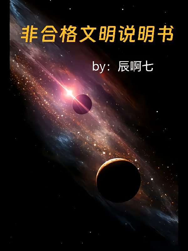 非合格文明说明书