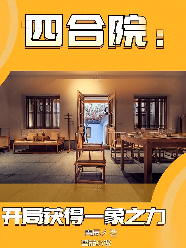 四合院：开局获得一象之力