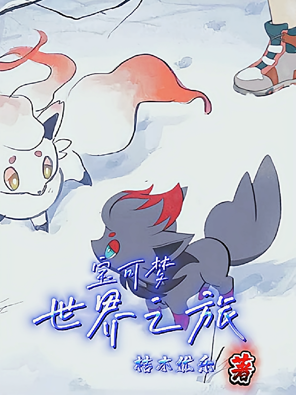 宝可梦：世界之旅