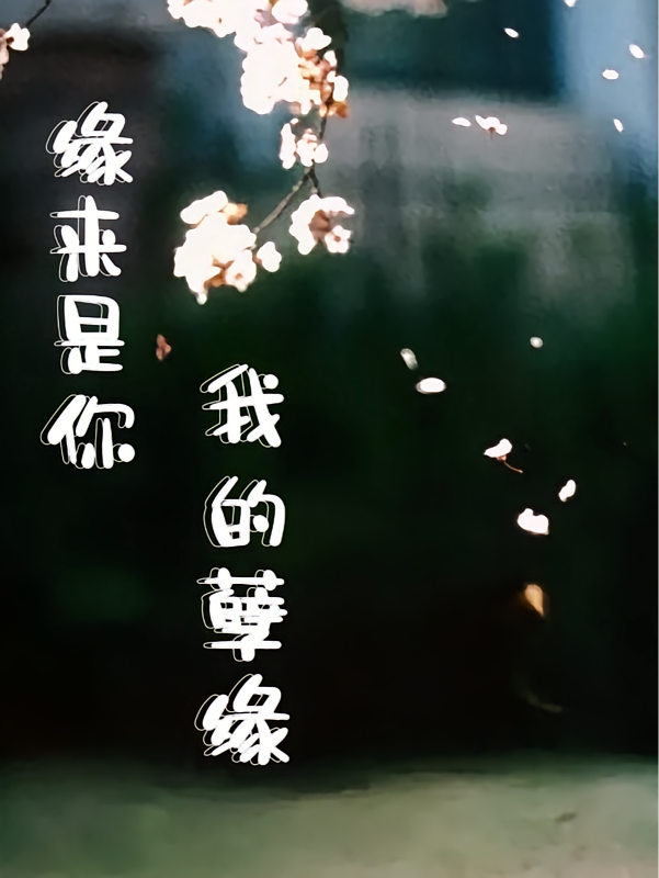 缘来是你我的孽缘