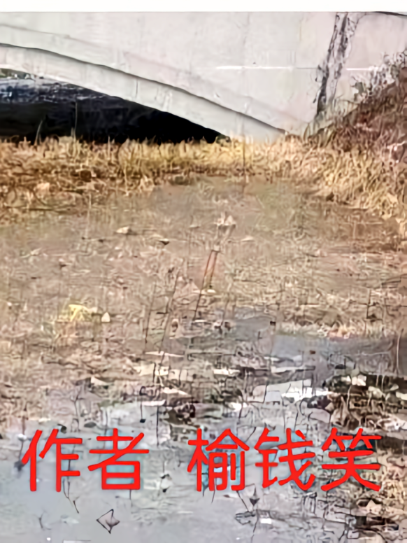 李当传