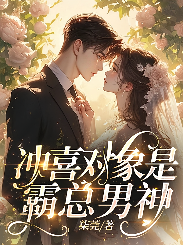 冲喜对象是霸总男神