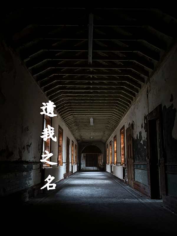 遗我之名