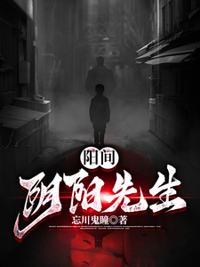 阳间阴阳先生