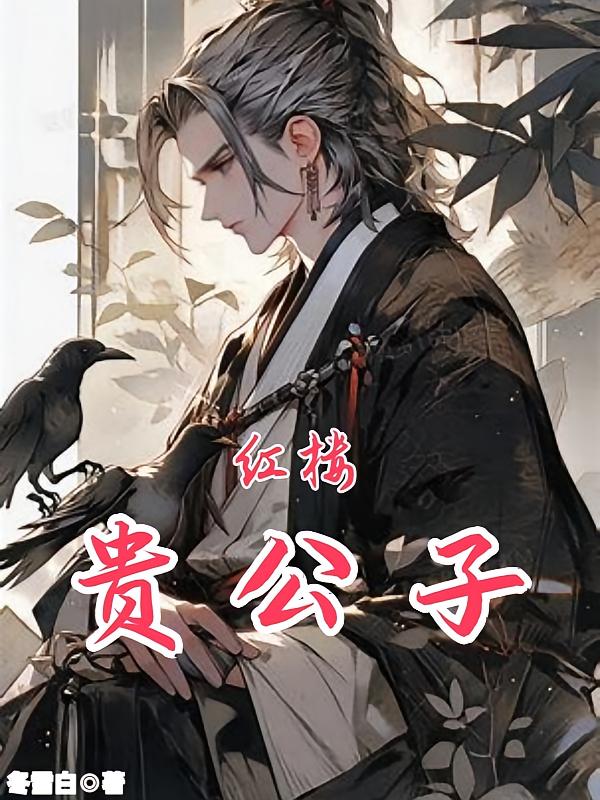 红楼贵公子