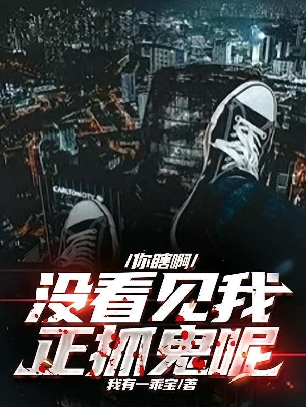 你瞎啊，没看见我正抓鬼呢